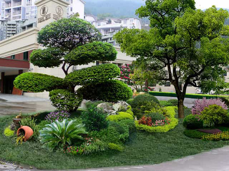 綠化養護服務(wù)